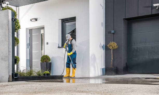 Best Gutter Cleaning and Brightening in Whitehouse, TX